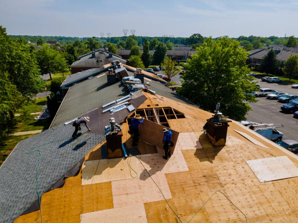 Trusted Roof Replacement service in Colcord, WV - Brentwood Metal Roofing